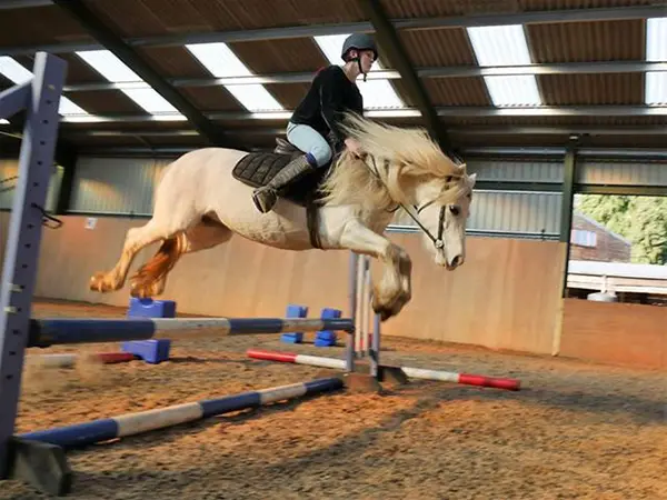 Penycoed Riding Centre 1