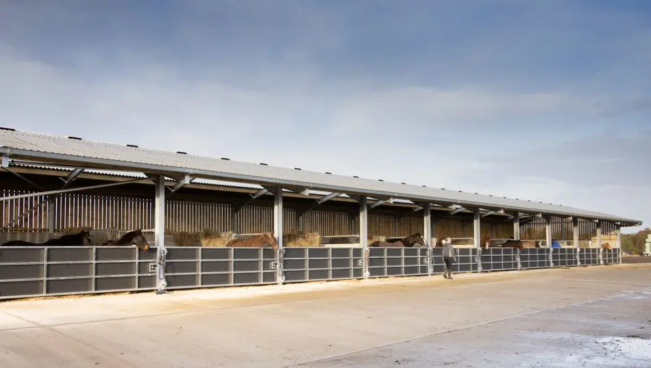 Equine Duo Barnn