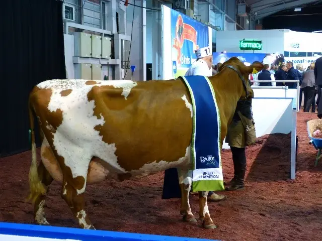 Prize Breeder 2 (640x480)